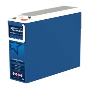 Enersys NSB 100FT BLUE+ Battery